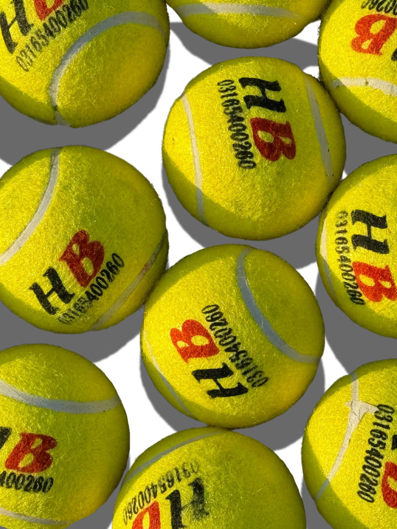 HB Sports - Tennis Cricket Ball - Set of 12 Pieces